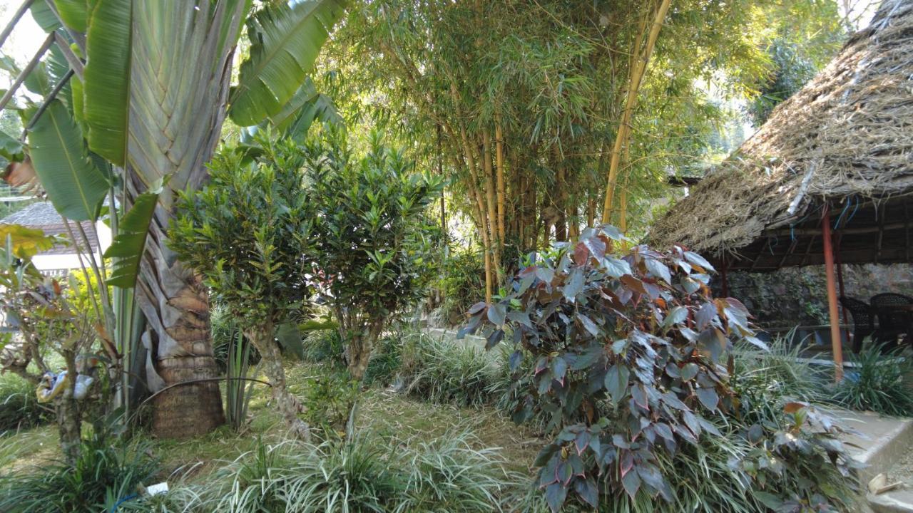Seattle Garden Resort - Kollihills Zewnętrze zdjęcie